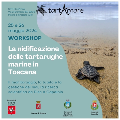 Workshop &quot;La nidificazione delle tartarughe marine in Toscana&quot;