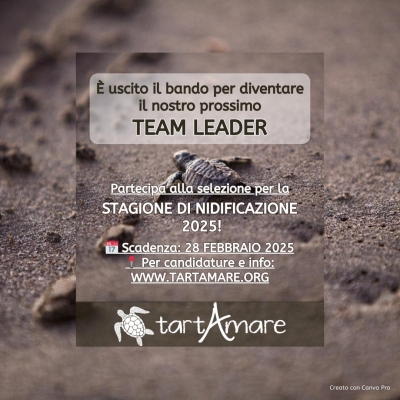 È uscito il bando per Team Leader