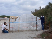 Costruita La Prima “Cupola Serra” Toscana Sul Nido Di Vada!